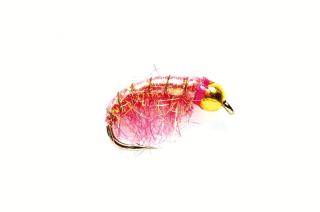 Shrimp Pink (1183)